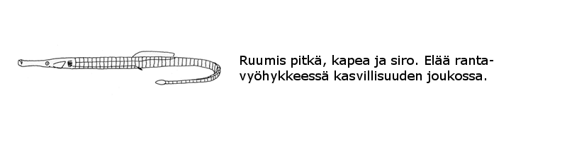Neulakalat