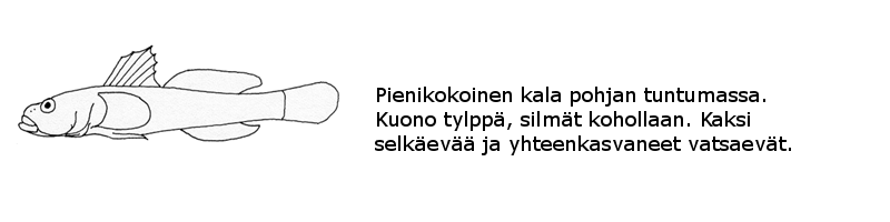 Tokot