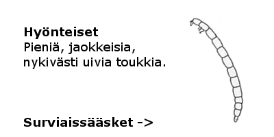Surviaissääsket