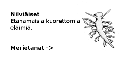 Merietanat