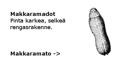Makkaramadot