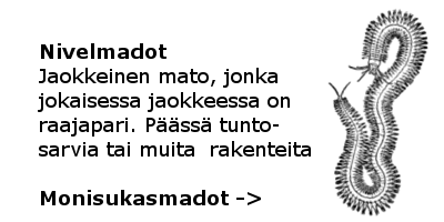 Monisukasmadot